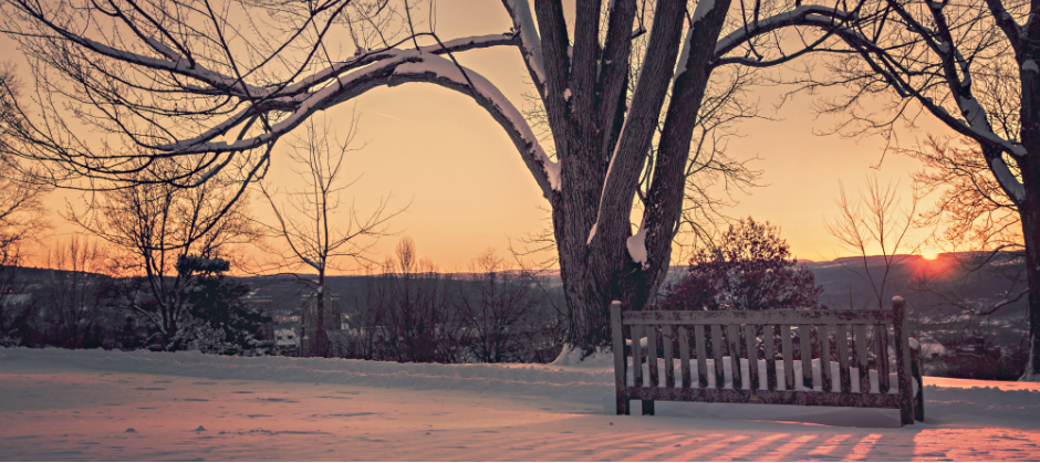 Image of a bench in the snow