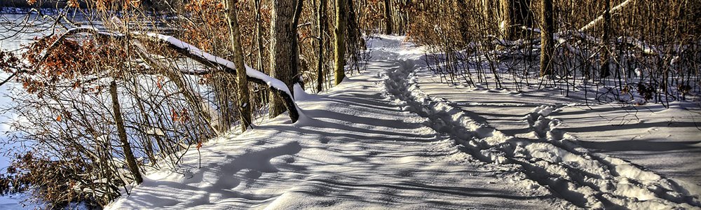 Image of a winter path