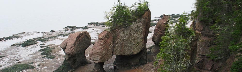 Hopewell Rocks New Brunswick