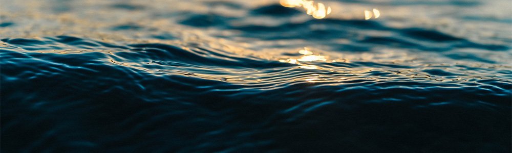Image of a wave in the water