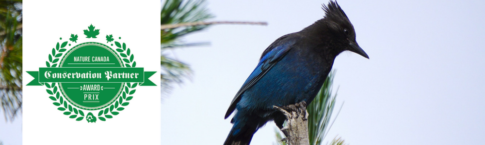 Image of Conservation Partner Award Blog