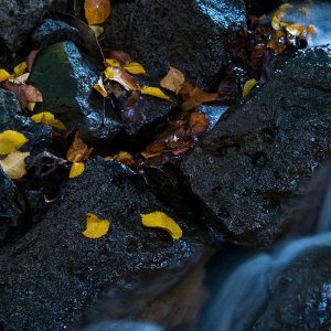 Image of a Waterfall