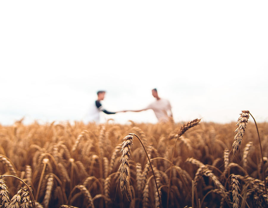 nbcs-agriculture-img-05