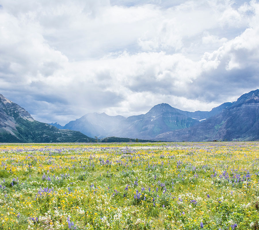 nbcs-grasslands-img-03