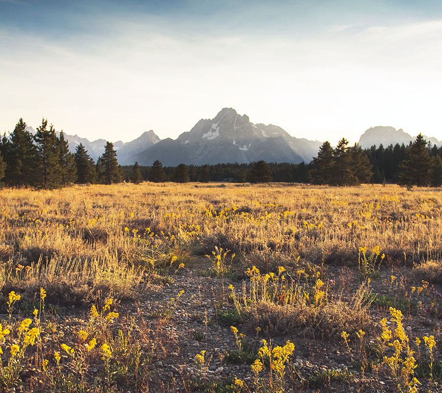 nbcs-grasslands-img-04
