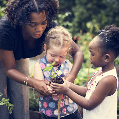 Teacher,And,Kids,School,Learning,Ecology,Gardening Teacher and kids school learning ecology gardening